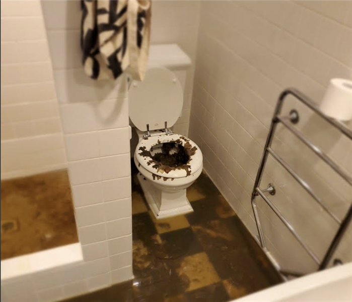 Bathroom, sewage backup damage